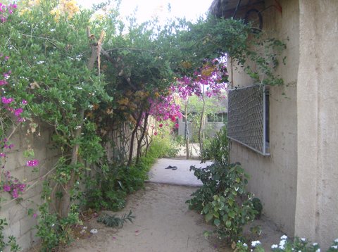 Jardin de Sanar