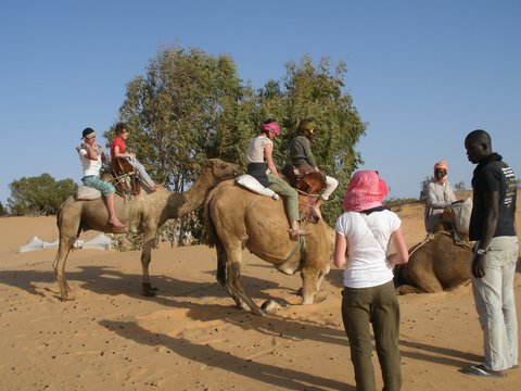 Promenade à dos de chameaux